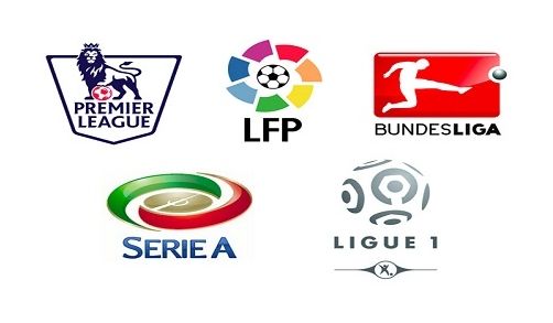 他们使用 他们使用